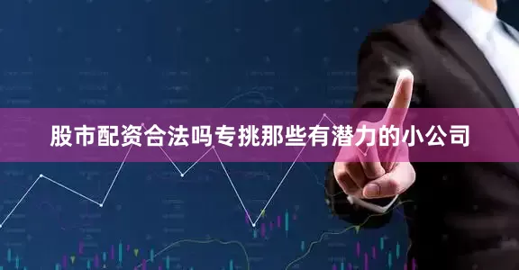 股市配资合法吗专挑那些有潜力的小公司