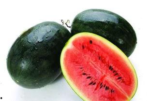 黑瓜吃料网在哪里