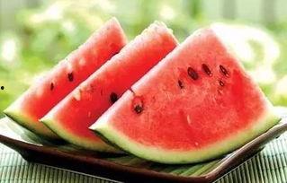 51黑瓜吃料网干什么的,专业食材信息平台深度解析