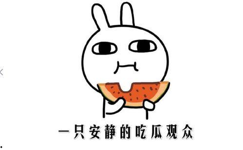 黑料吃瓜官网,带你走进娱乐圈幕后真相